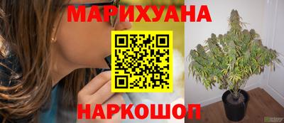прущие крисы Донецк