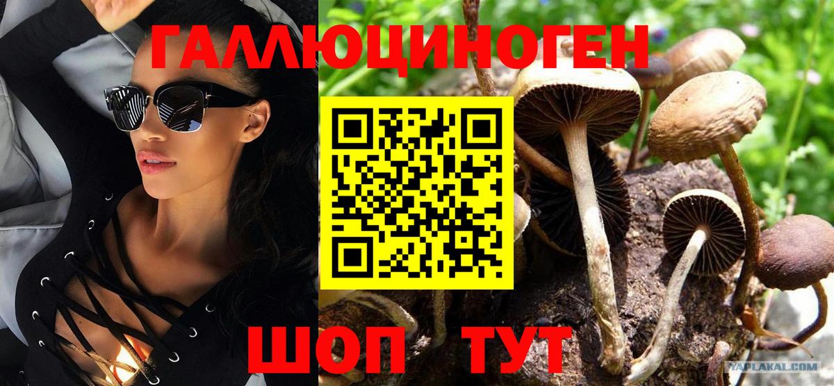 Псилоцибиновые грибы Magic Shrooms  Вход с VPN  Лесозаводск 