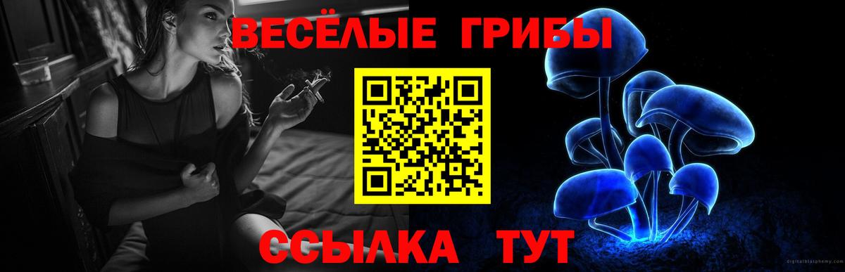 Псилоцибиновые грибы Cubensis Лесозаводск